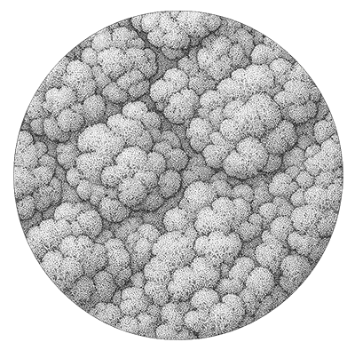 Detailed circular pattern of swirling textures.